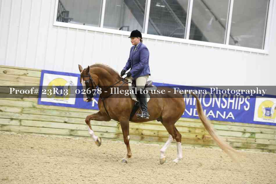 Proof Number 23R13_02678