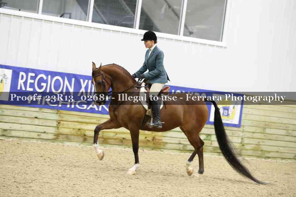 Proof Number 23R13_02681