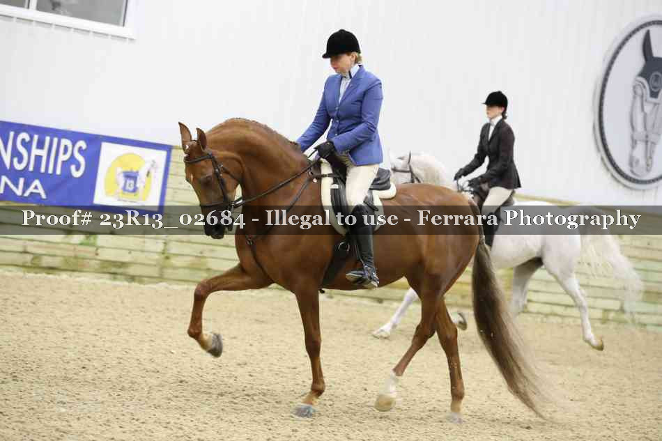 Proof Number 23R13_02684