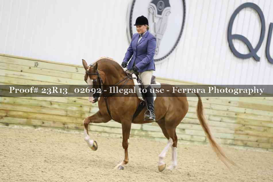 Proof Number 23R13_02692