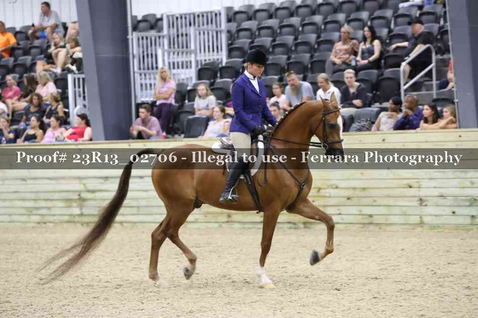 Proof Number 23R13_02706