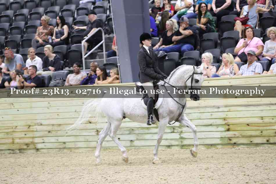 Proof Number 23R13_02716