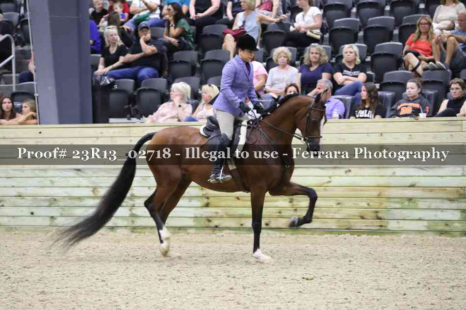 Proof Number 23R13_02718