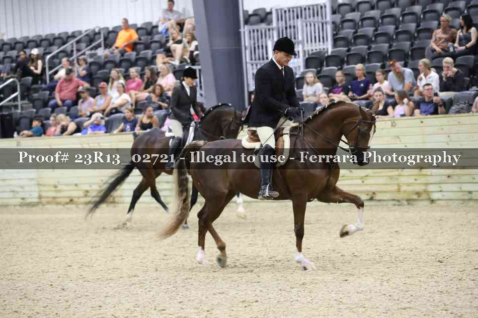 Proof Number 23R13_02721