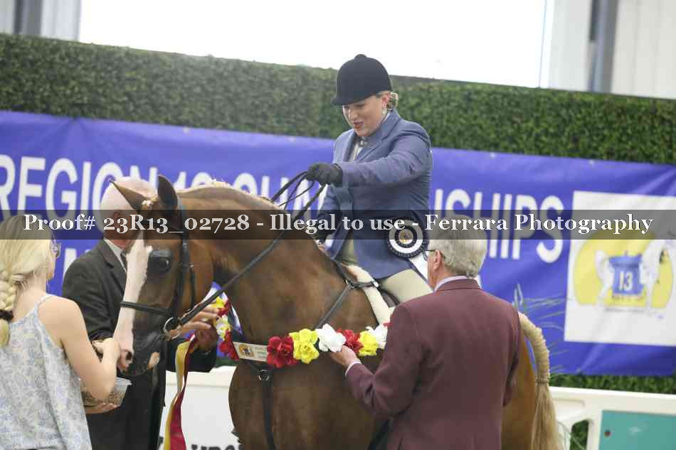 Proof Number 23R13_02728