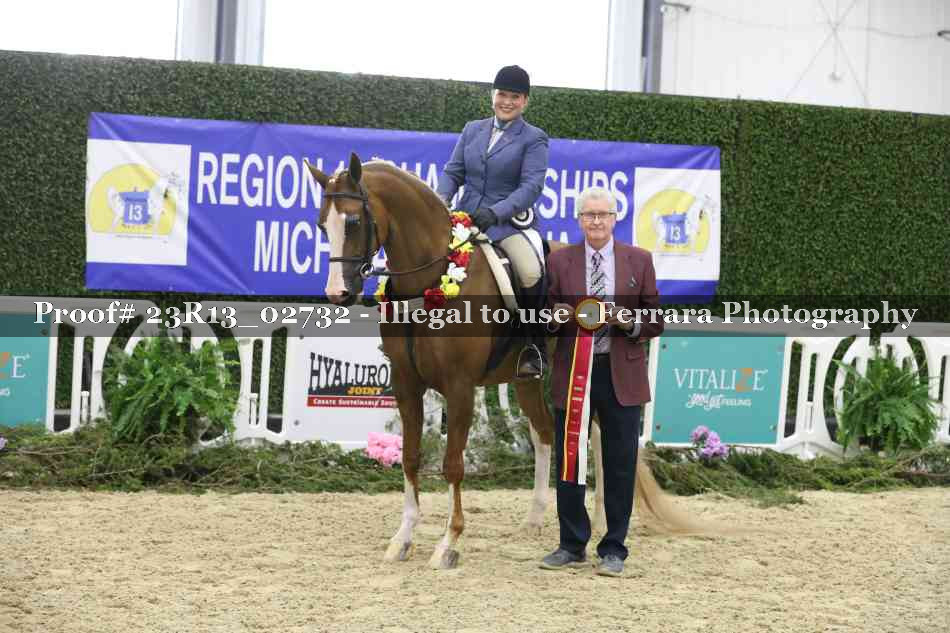 Proof Number 23R13_02732