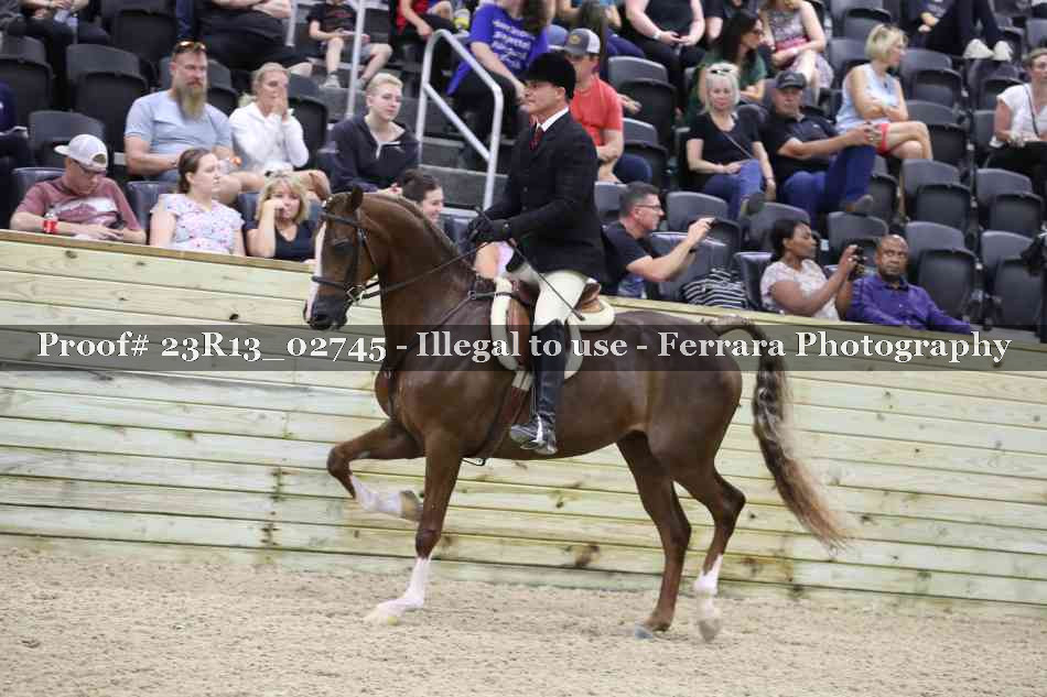 Proof Number 23R13_02745