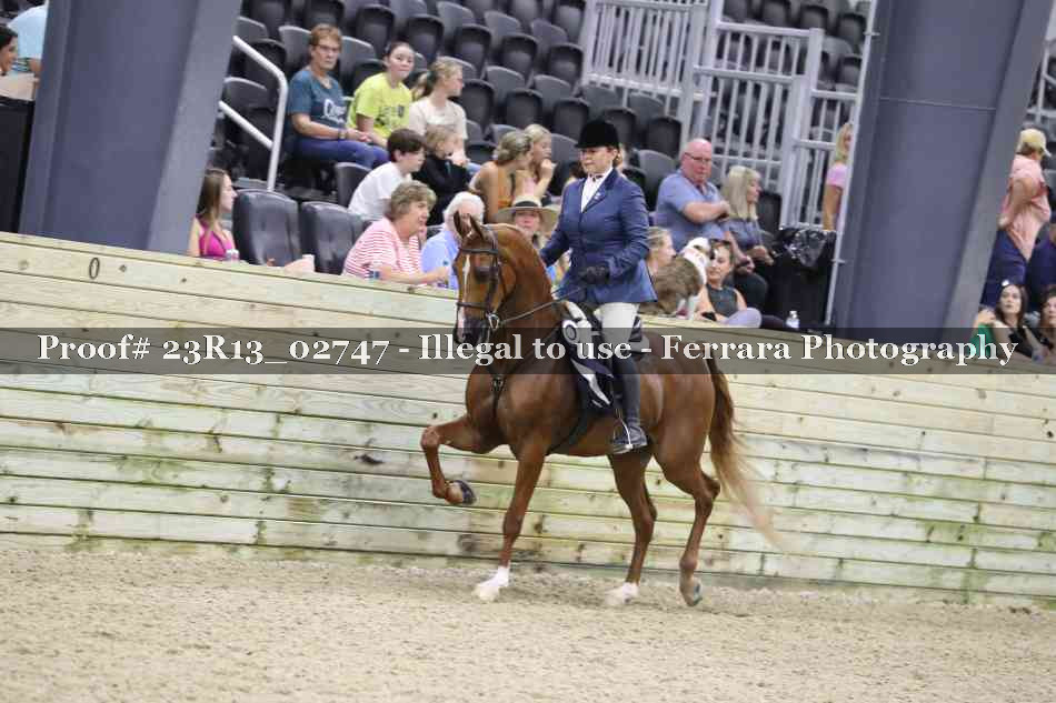 Proof Number 23R13_02747