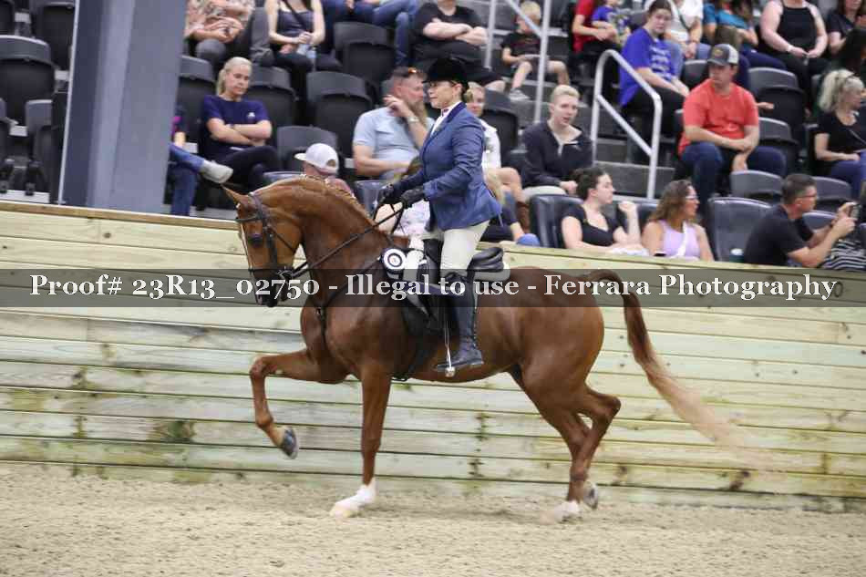 Proof Number 23R13_02750