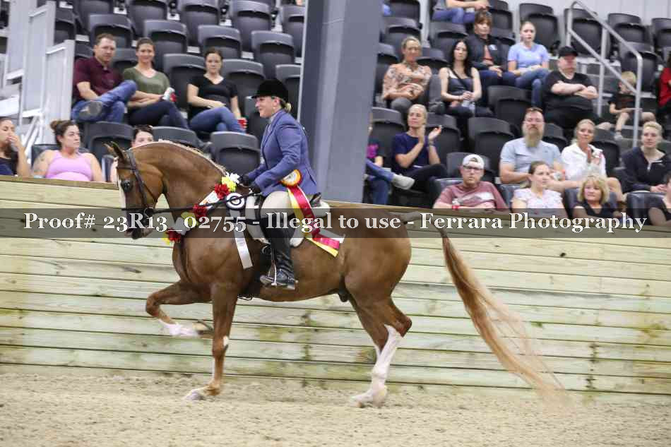 Proof Number 23R13_02755