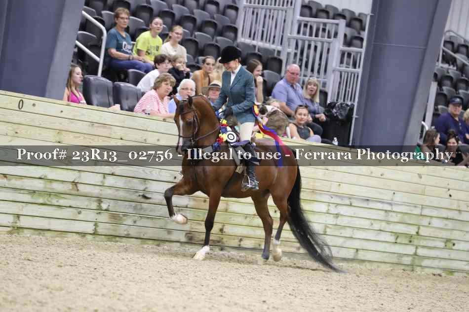 Proof Number 23R13_02756