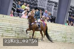 23R13_02756 thumbnail