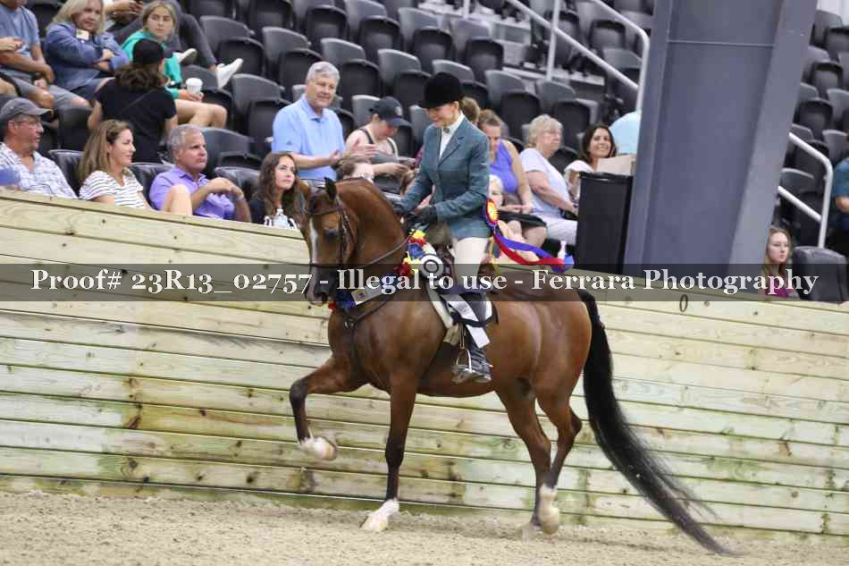 Proof Number 23R13_02757