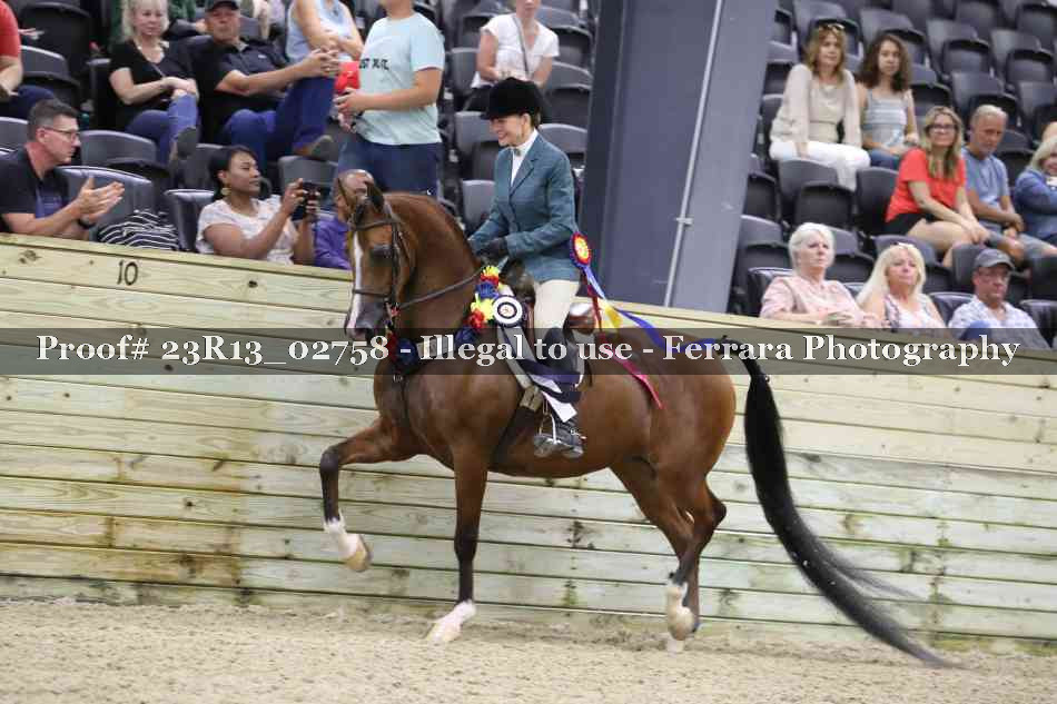 Proof Number 23R13_02758