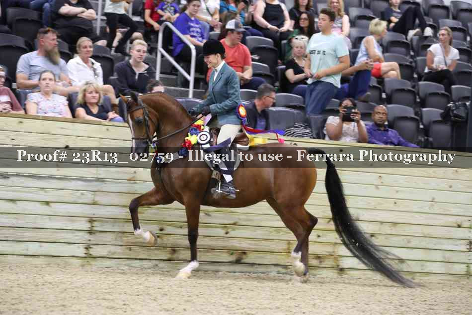 Proof Number 23R13_02759