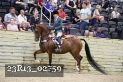 23R13_02759 thumbnail