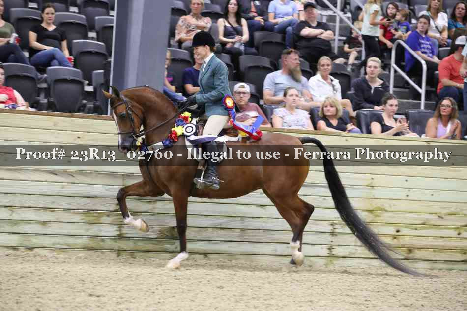 Proof Number 23R13_02760