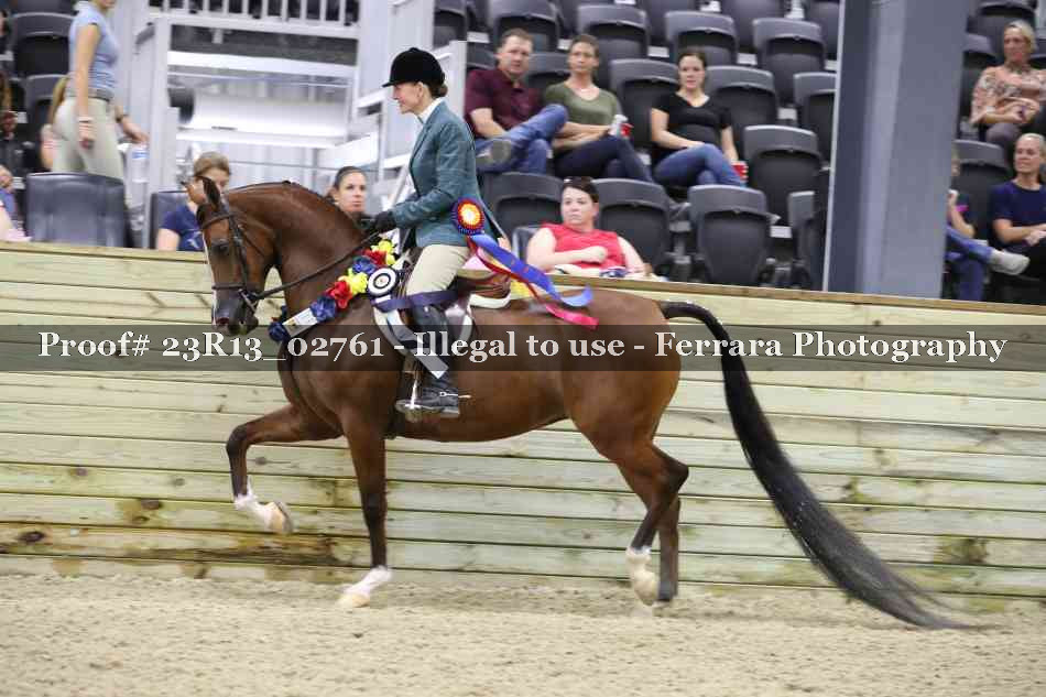 Proof Number 23R13_02761
