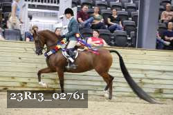 23R13_02761 thumbnail
