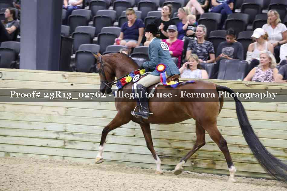 Proof Number 23R13_02762