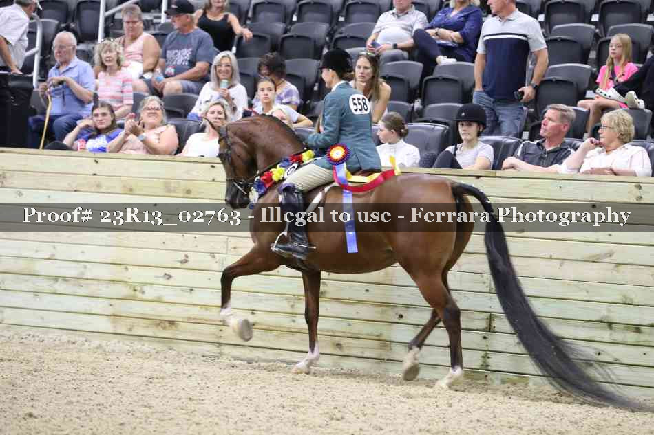 Proof Number 23R13_02763