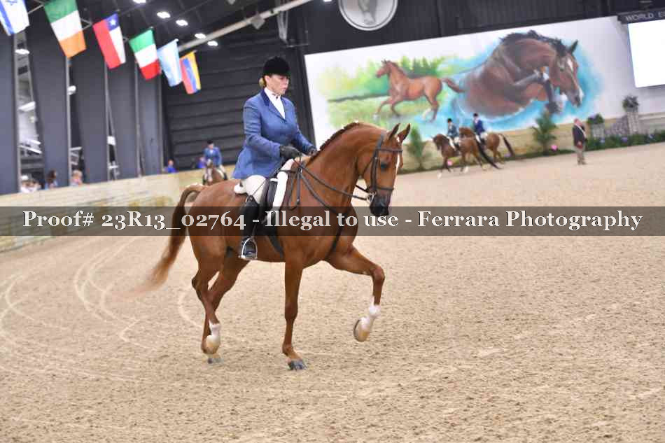 Proof Number 23R13_02764