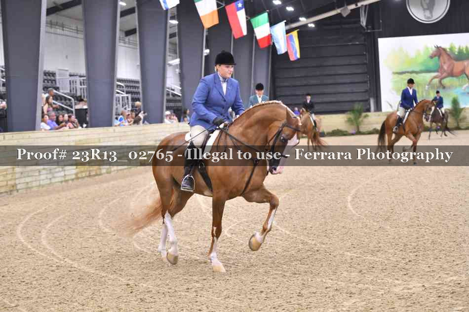 Proof Number 23R13_02765