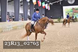 23R13_02765 thumbnail