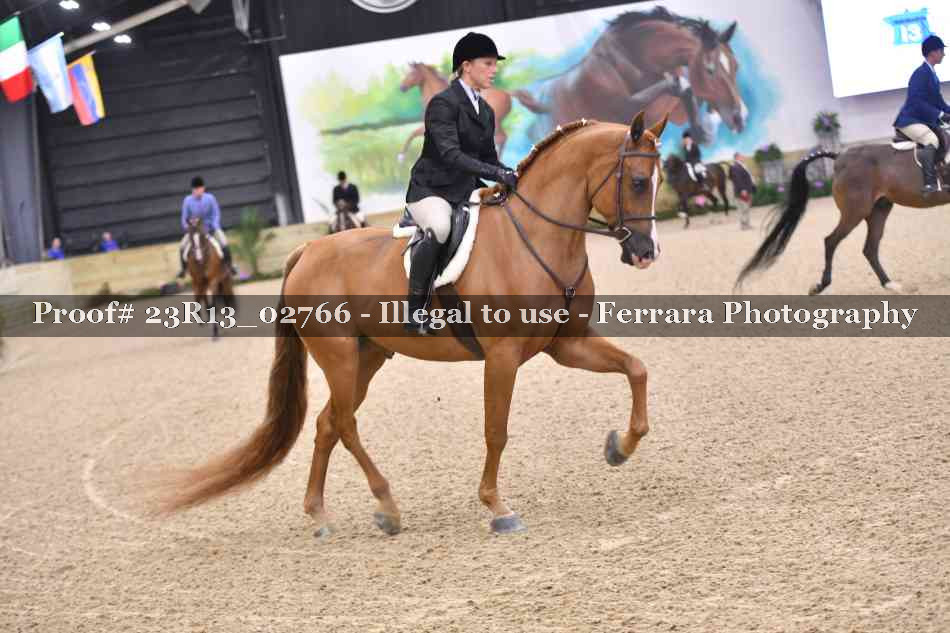 Proof Number 23R13_02766