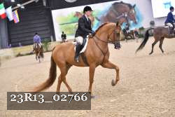23R13_02766 thumbnail