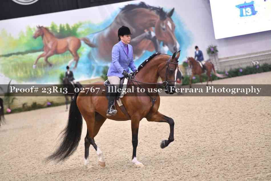 Proof Number 23R13_02767