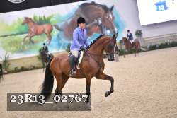 23R13_02767 thumbnail