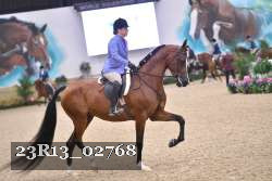 23R13_02768 thumbnail