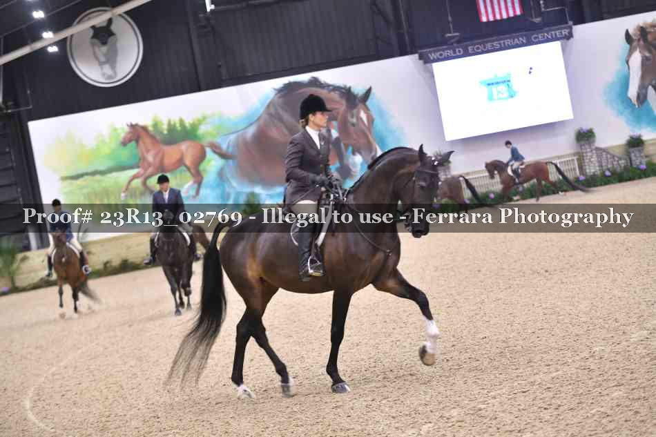 Proof Number 23R13_02769
