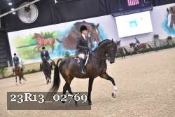 23R13_02769 thumbnail
