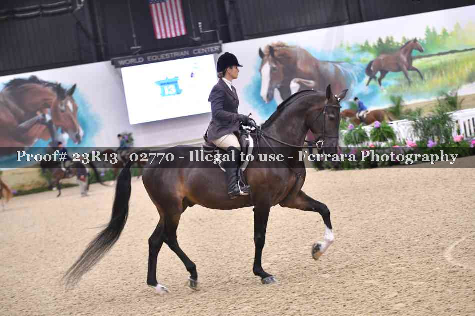Proof Number 23R13_02770