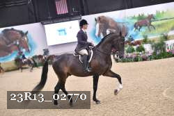 23R13_02770 thumbnail