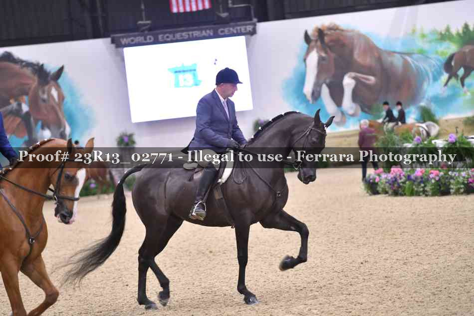 Proof Number 23R13_02771
