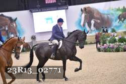 23R13_02771 thumbnail