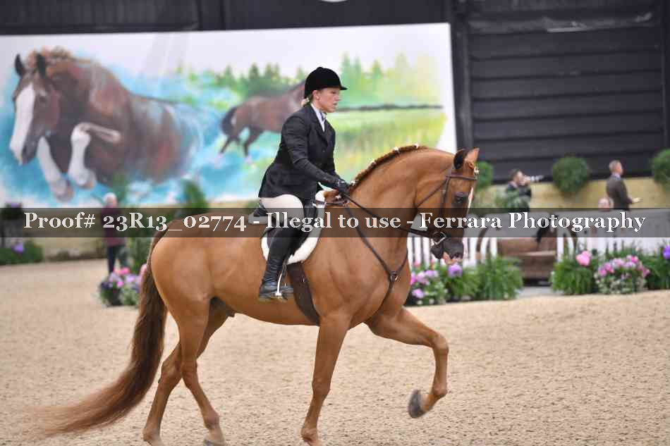 Proof Number 23R13_02774