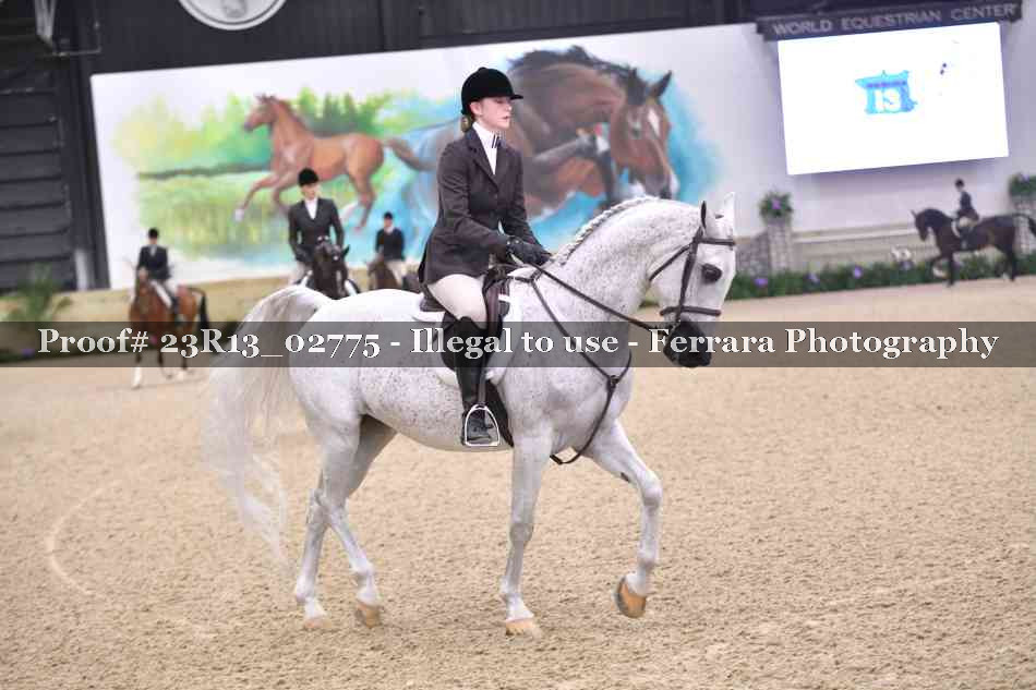 Proof Number 23R13_02775