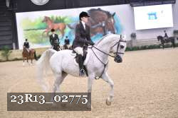 23R13_02775 thumbnail