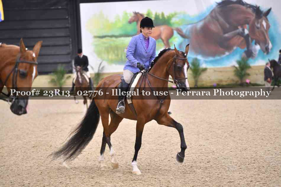 Proof Number 23R13_02776