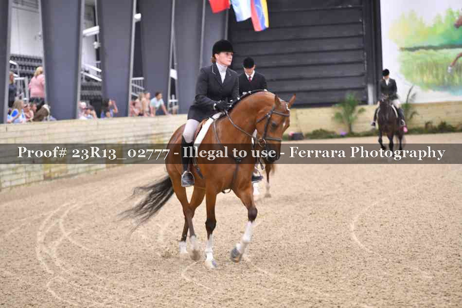 Proof Number 23R13_02777