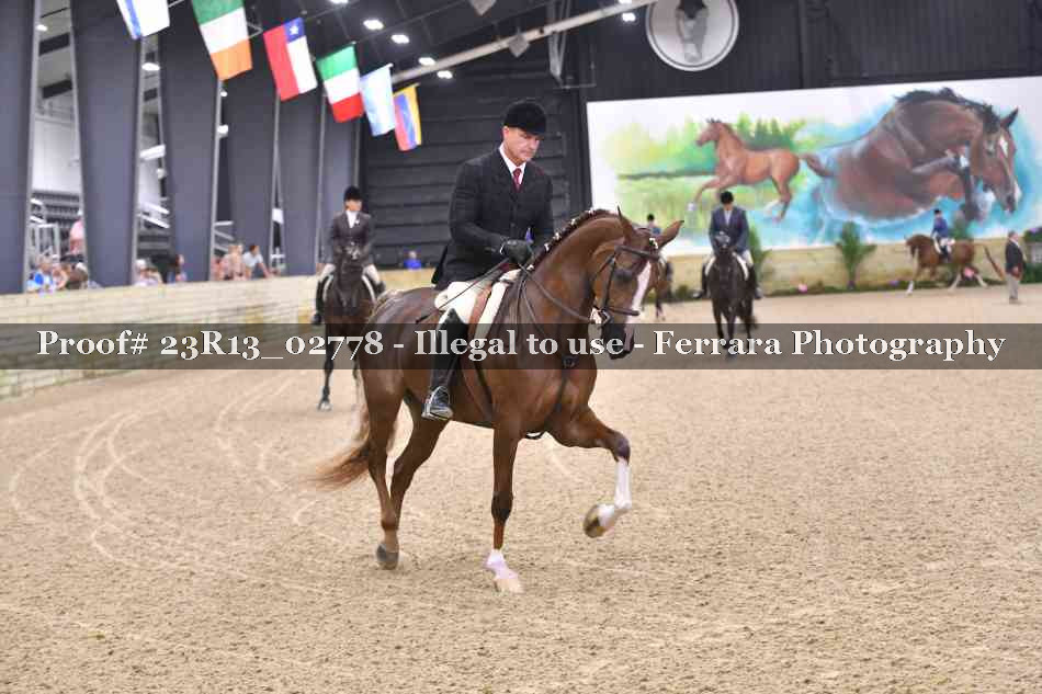 Proof Number 23R13_02778