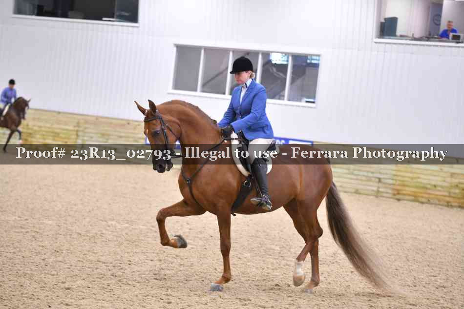 Proof Number 23R13_02793
