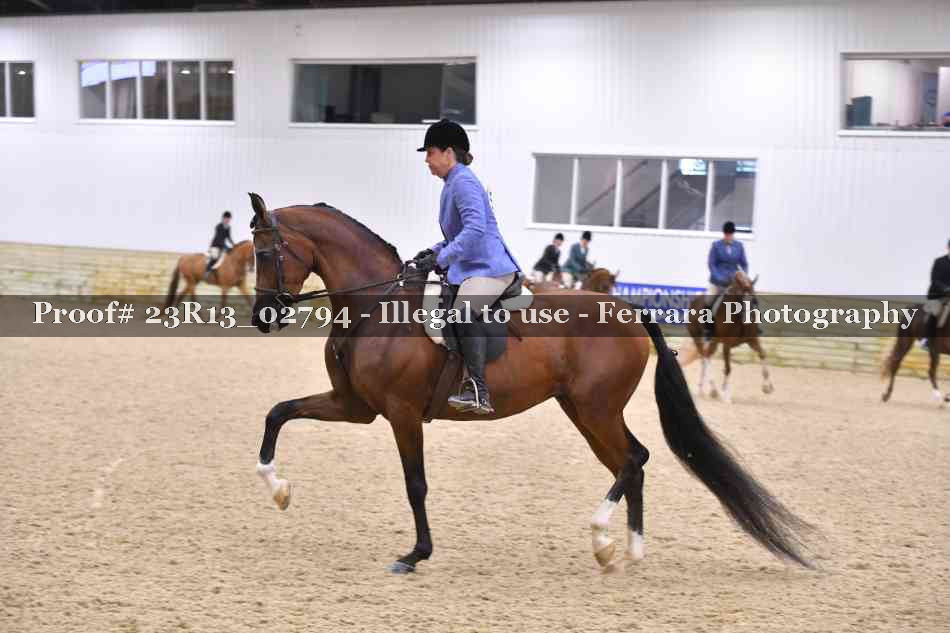 Proof Number 23R13_02794