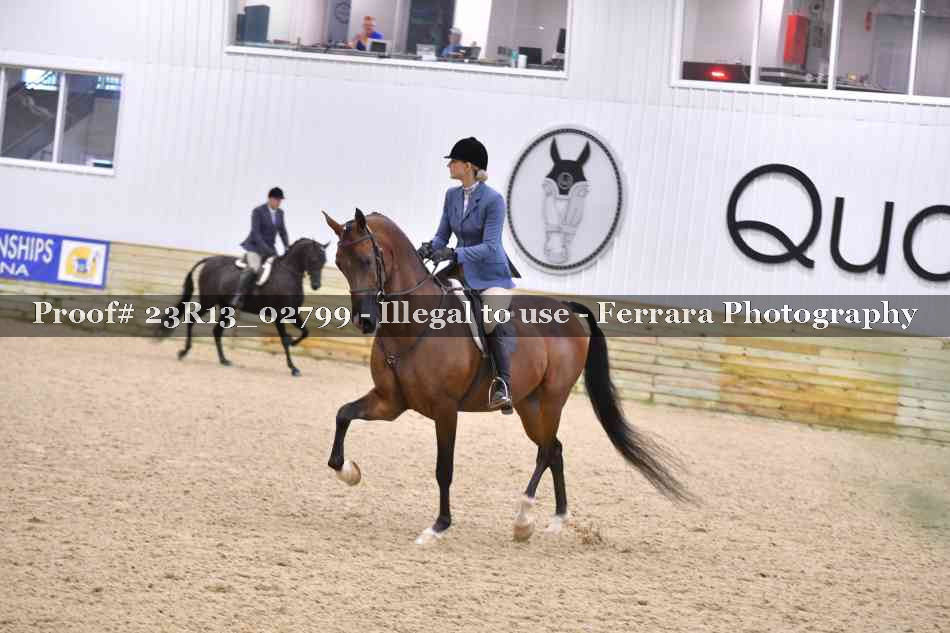 Proof Number 23R13_02799