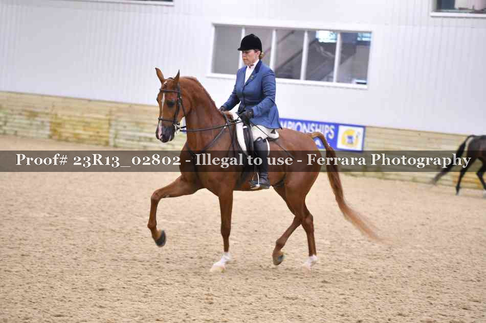 Proof Number 23R13_02802