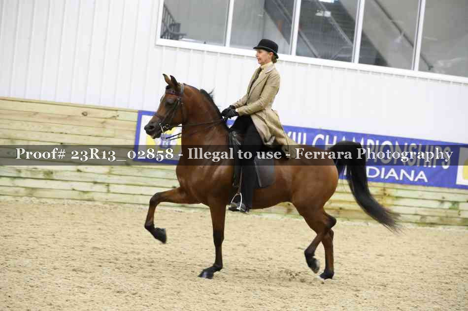 Proof Number 23R13_02858